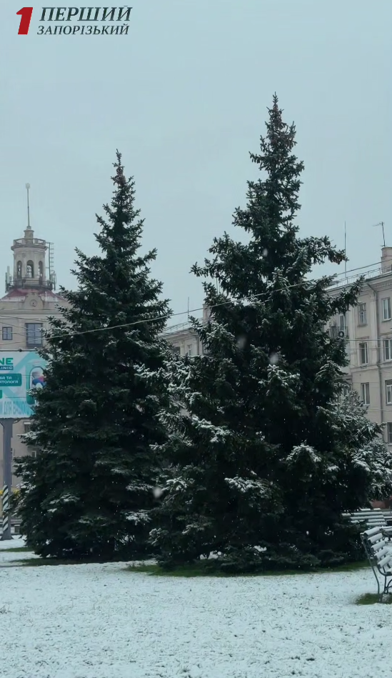 В Україні знову засніжило: де сьогодні побіліли вулиці (фото, відео)