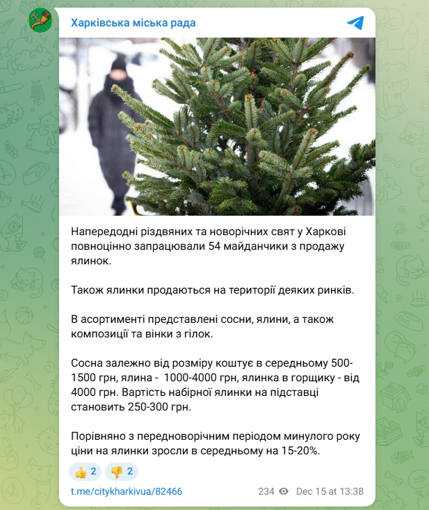 Святкові дерева подорожчали: скільки сьогодні коштують ялинки й сосни у Харкові