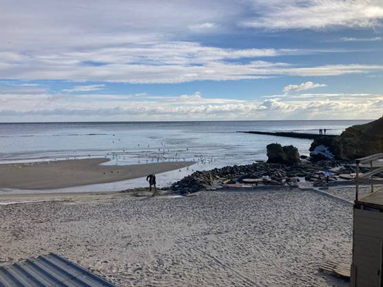 Узбережжя Одеси після забруднення: що показала нова перевірка пляжів