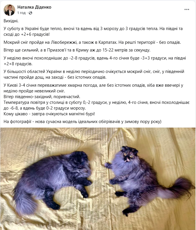 Лютых морозов не будет? Чего ждать от погоды в Украине на выходных