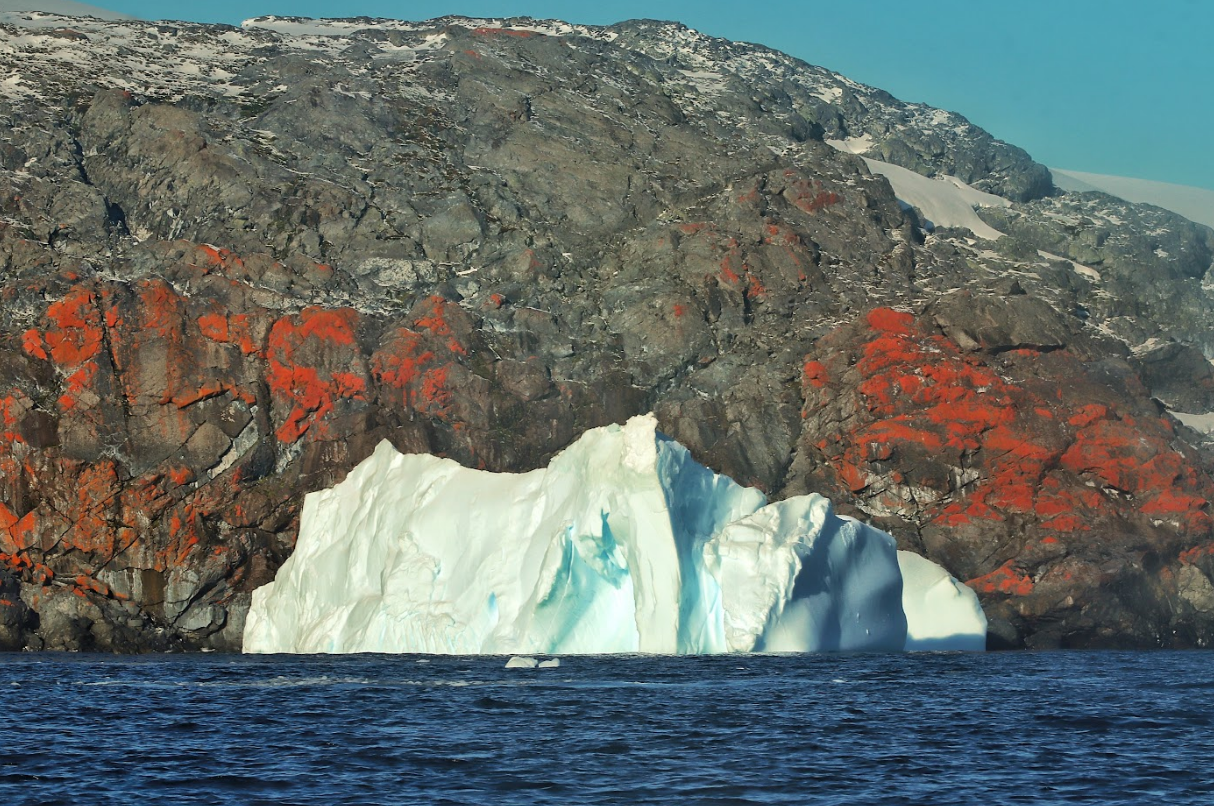 На передовій світової науки: як працюють українські полярники й що досліджують в Антарктиці