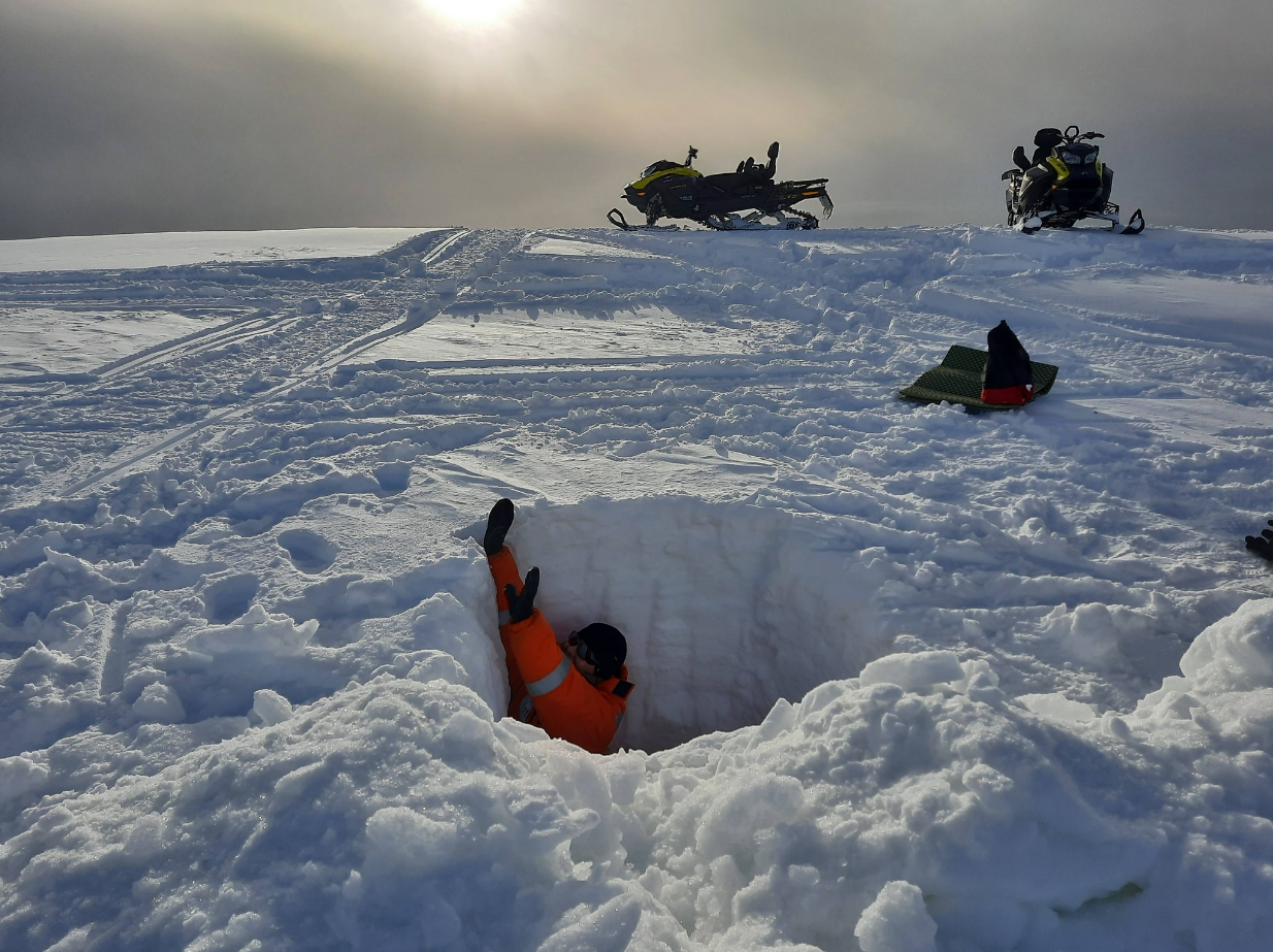 Украинскую антарктическую экспедицию впервые в истории возглавит женщина: о ком речь
