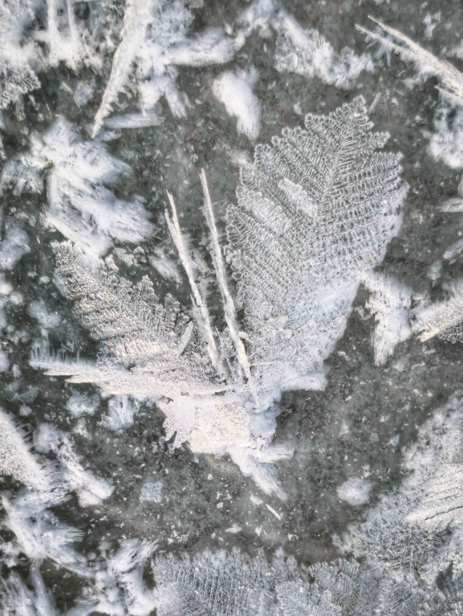 Січень вразив: яке диво природи помітили українці під час сильних морозів (фото)