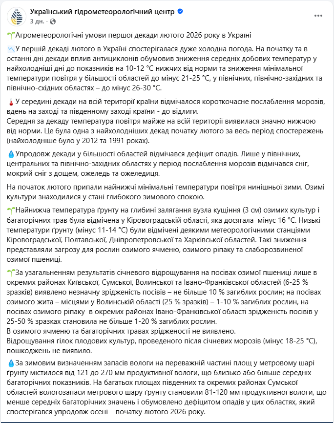 Врожай під загрозою? Як люті морози в Україні вплинули на озимину й плодові культури