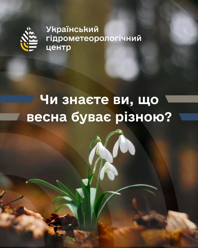 Початок не лише за календарем? Чому весна насправді приходить тричі й від чого залежить