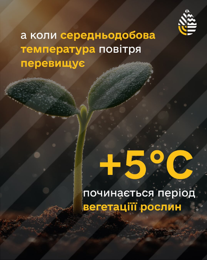 Початок не лише за календарем? Чому весна насправді приходить тричі й від чого залежить