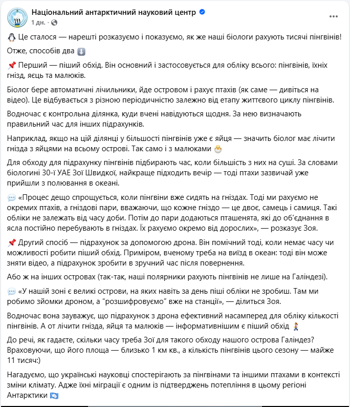 Непростая математика: как украинские полярники считают тысячи пингвинов в Антарктике (видео)