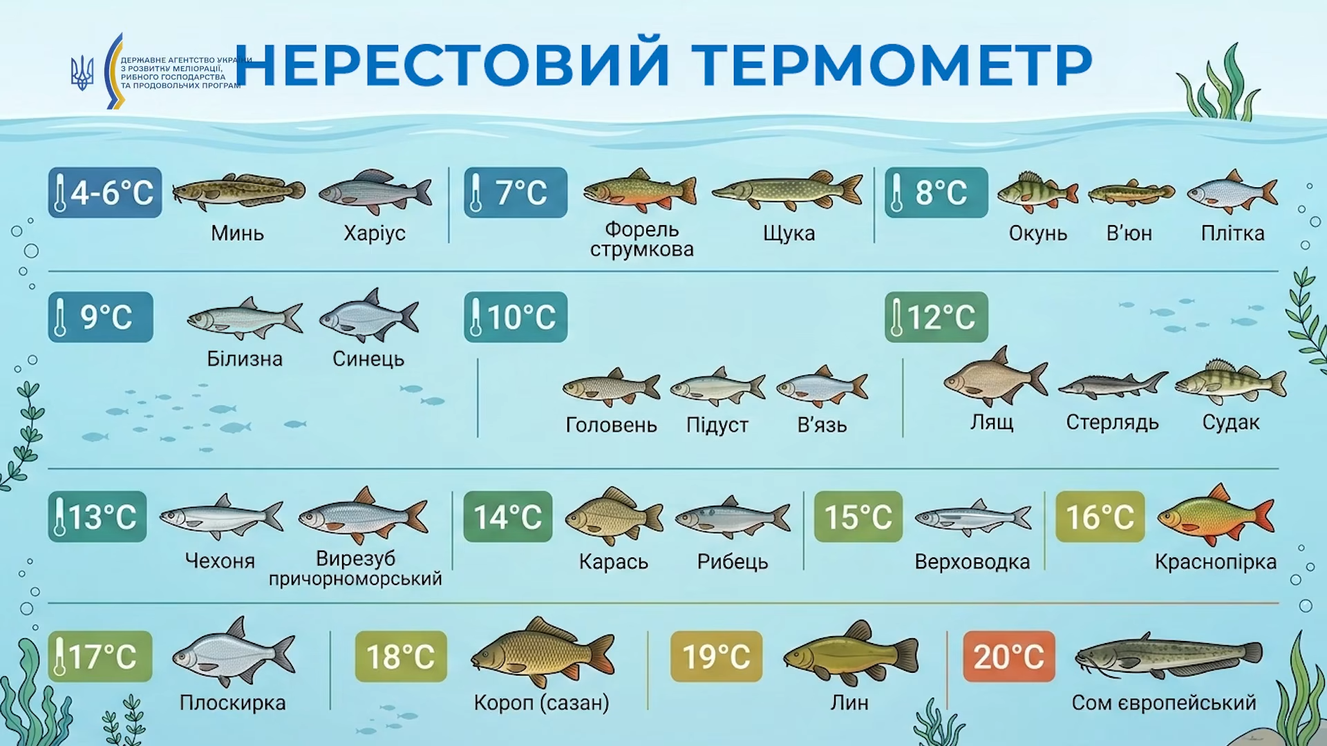 Нерест 2026 в Украине: когда стартует запрет и как можно рыбачить, чтобы не "поймать" штраф