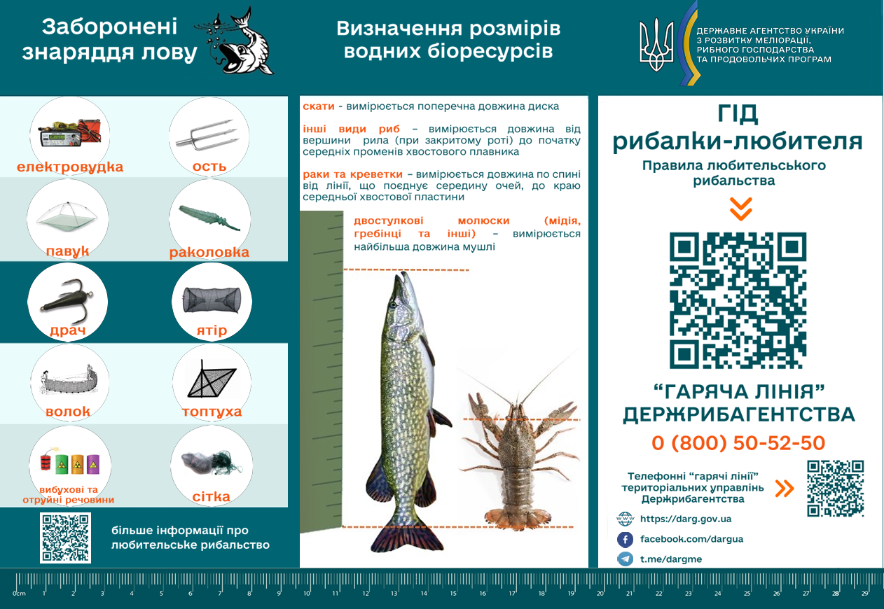 Нерест 2026 в Украине: когда стартует запрет и как можно рыбачить, чтобы не "поймать" штраф