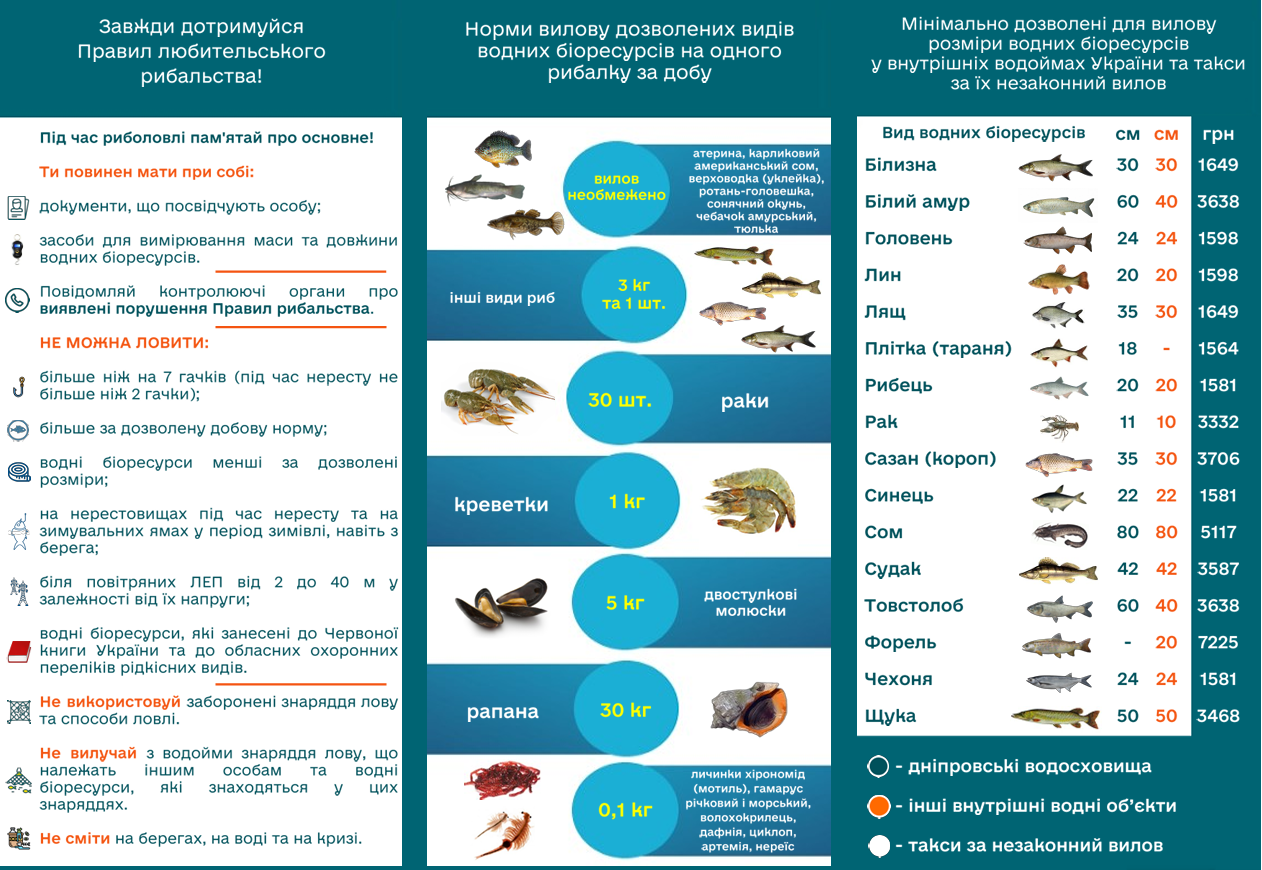 Нерест 2026 в Украине: когда стартует запрет и как можно рыбачить, чтобы не "поймать" штраф