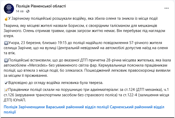 В Ровенской области известного оленя Бориса сбила машина: что установила полиция