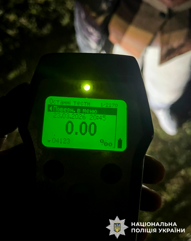 В Ровенской области известного оленя Бориса сбила машина: что установила полиция