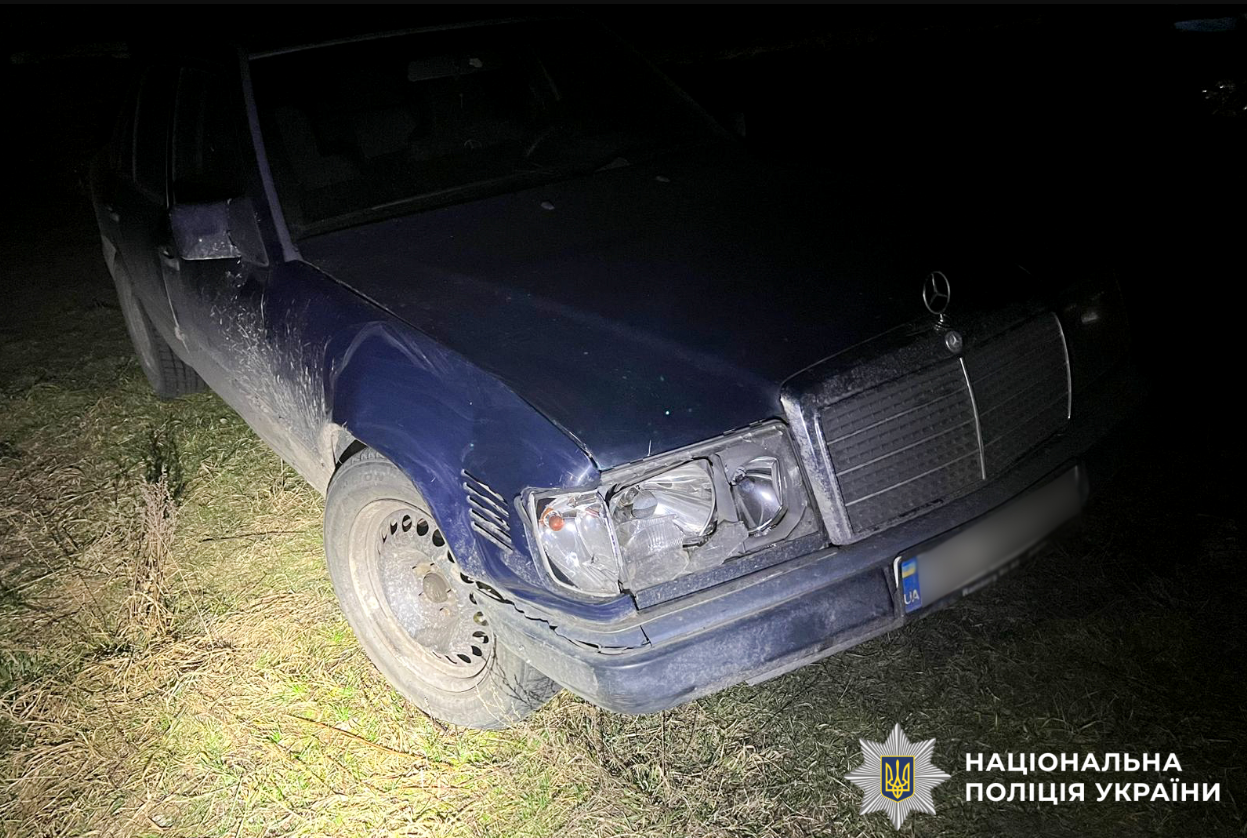 В Ровенской области известного оленя Бориса сбила машина: что установила полиция