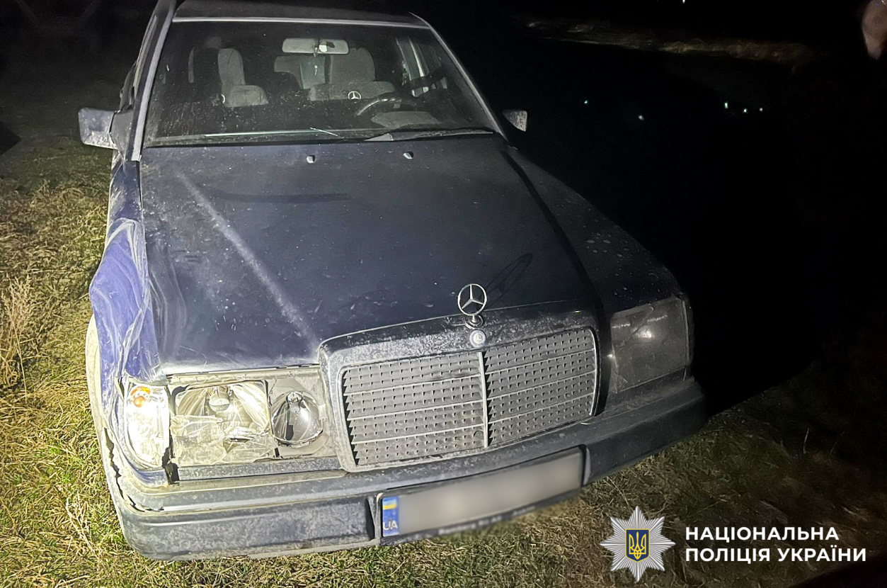 В Ровенской области известного оленя Бориса сбила машина: что установила полиция