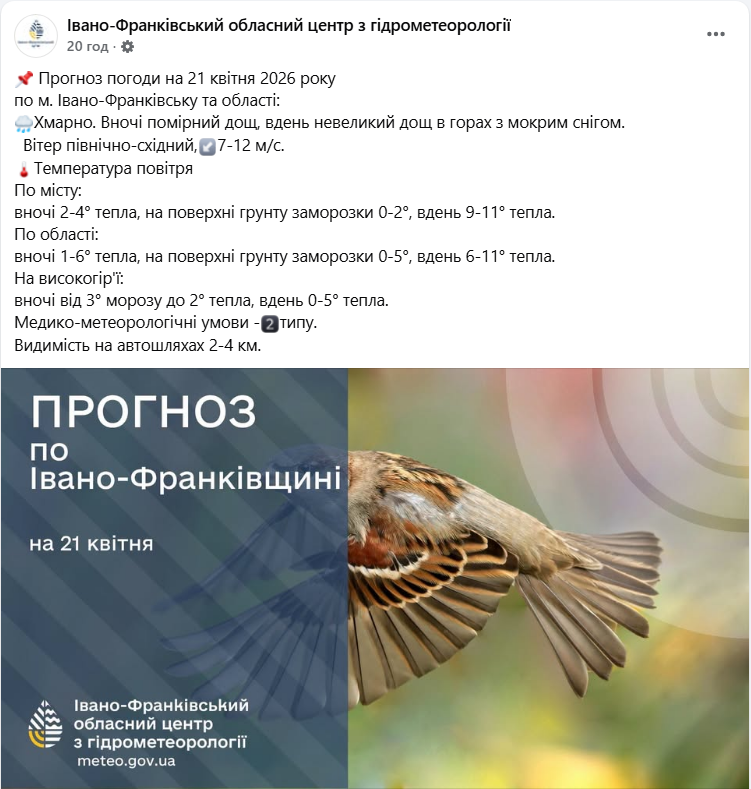 Зима не отступает: где в Украине насыпало снега посреди апреля (фото, видео)