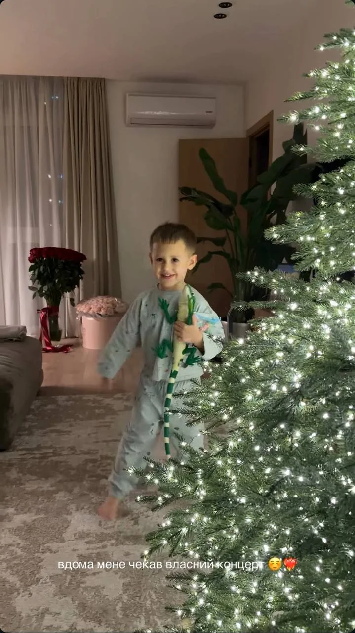 Як Дорофєєва, Усики та інші українські зірки вбрали свої ялинки