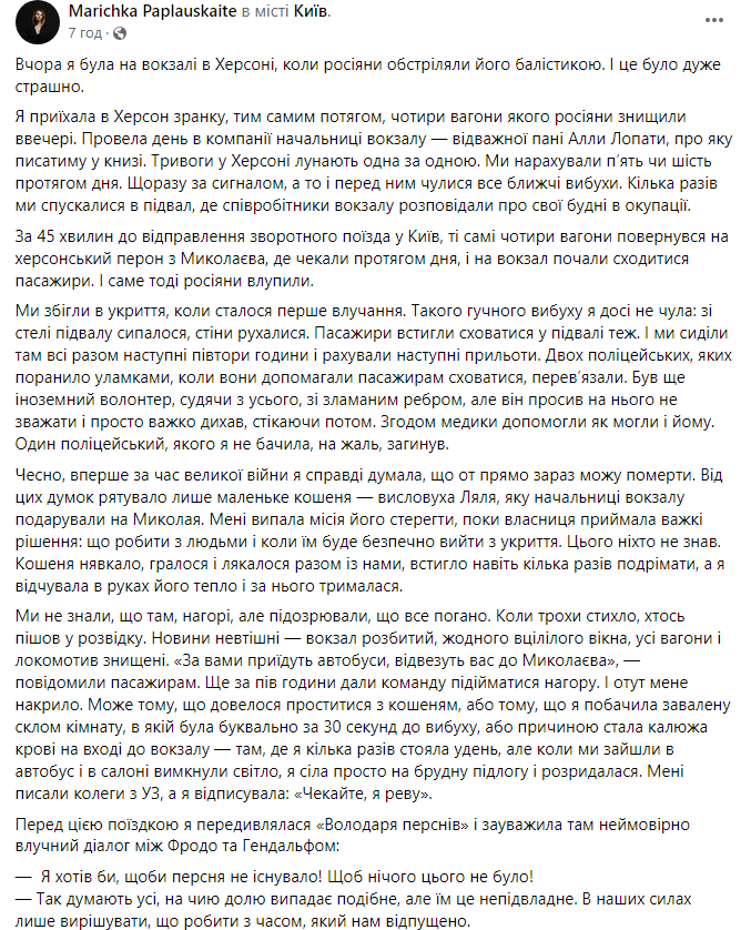"Рятувало лише маленьке кошеня". Журналістка розповіла, як пережила обстріл вокзалу в Херсоні