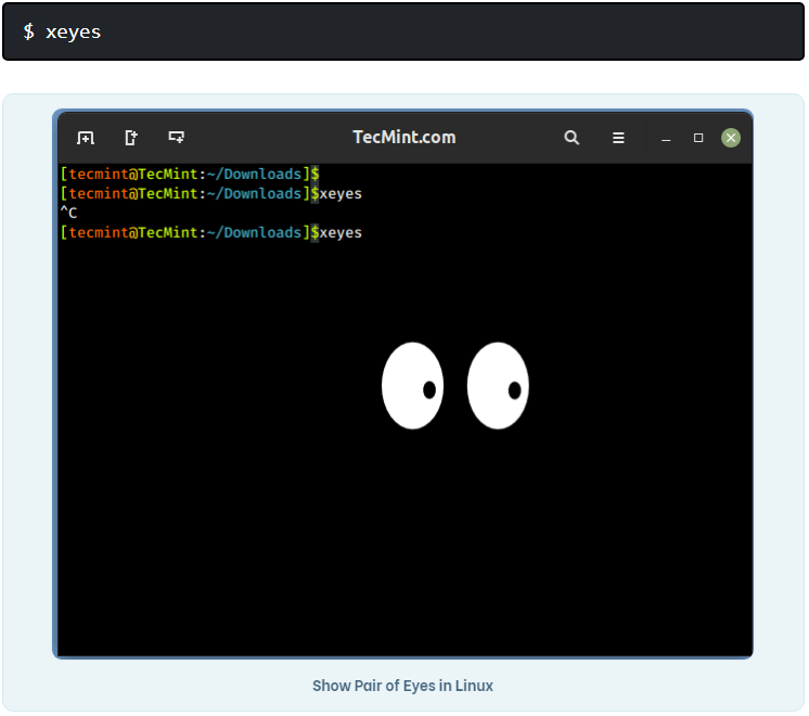 Взгрустнулось за компьютером? 5 команд Linux, которые точно поднимут настроение
