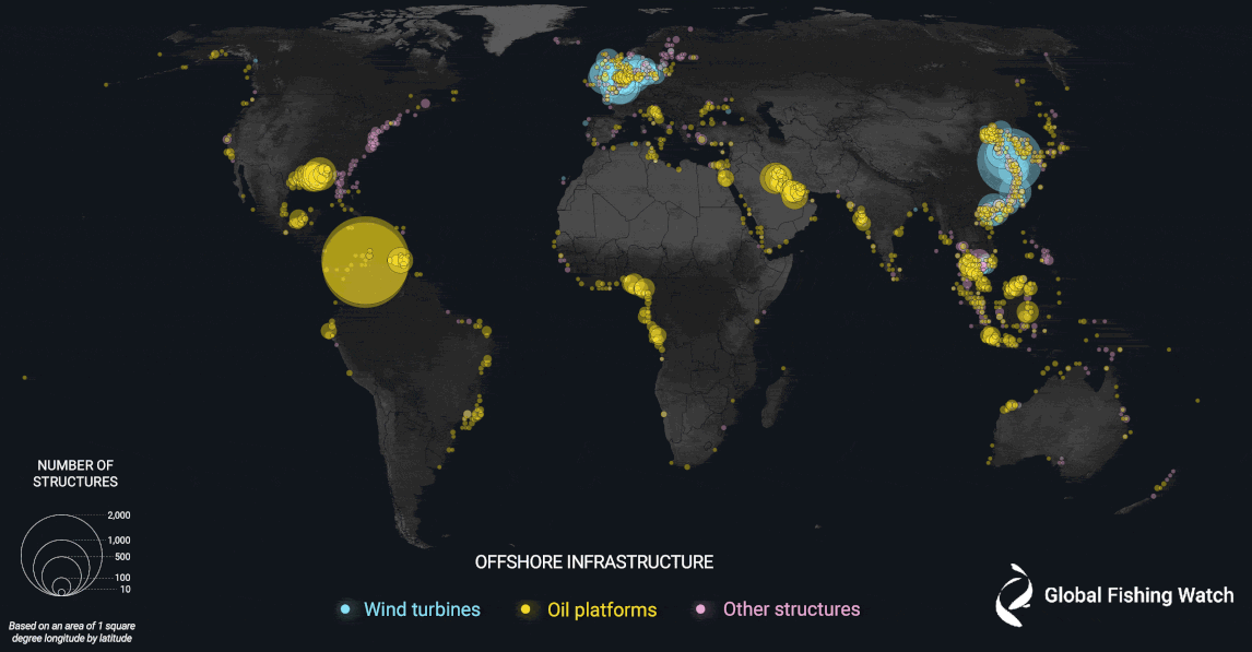 Завдяки ШІ вчені дізнались, наскільки переповнені океани. Відповідь шокує