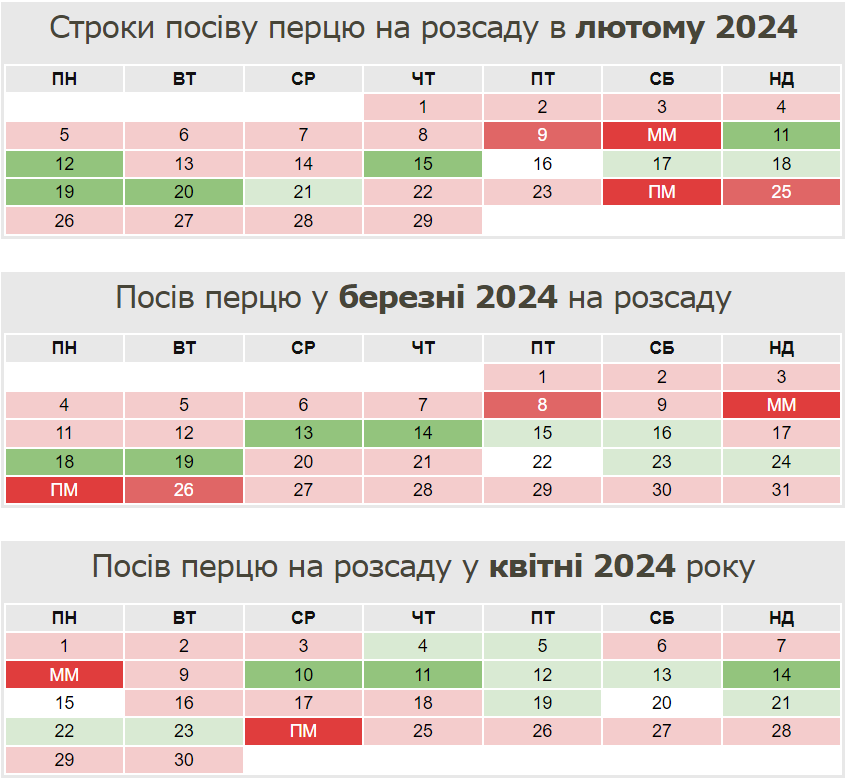 Коли сіяти перець на розсаду, аби отримати гарний врожай