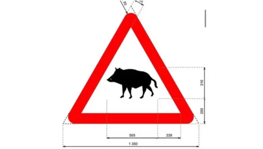 На дорогах з'явилися нові знаки: що вони означають і як діяти українським водіям