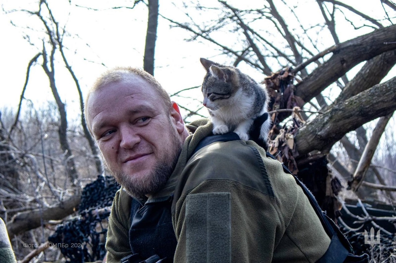 Військові показали "фронтових" котиків. Нічого милішого ви сьогодні точно не побачите