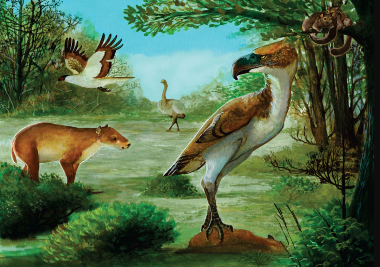 Не вгадає ніхто. Вчені показали головного хижака Антарктиди, що існував 50 млн років тому