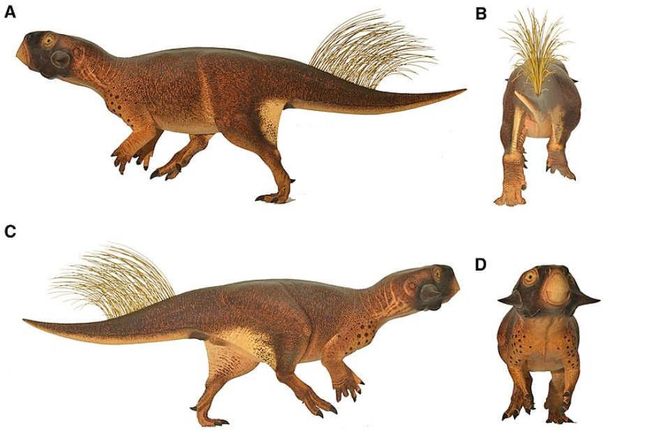 Невероятно, но факт. Ученые определили, отличались ли на самом деле самки динозавров от самцов