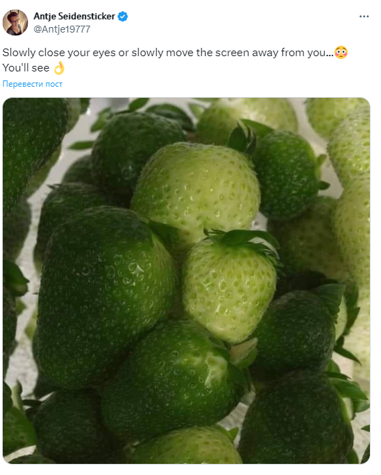 Эта оптическая иллюзия ошарашила сеть. Внимательно посмотрите на зеленую клубнику (фото)