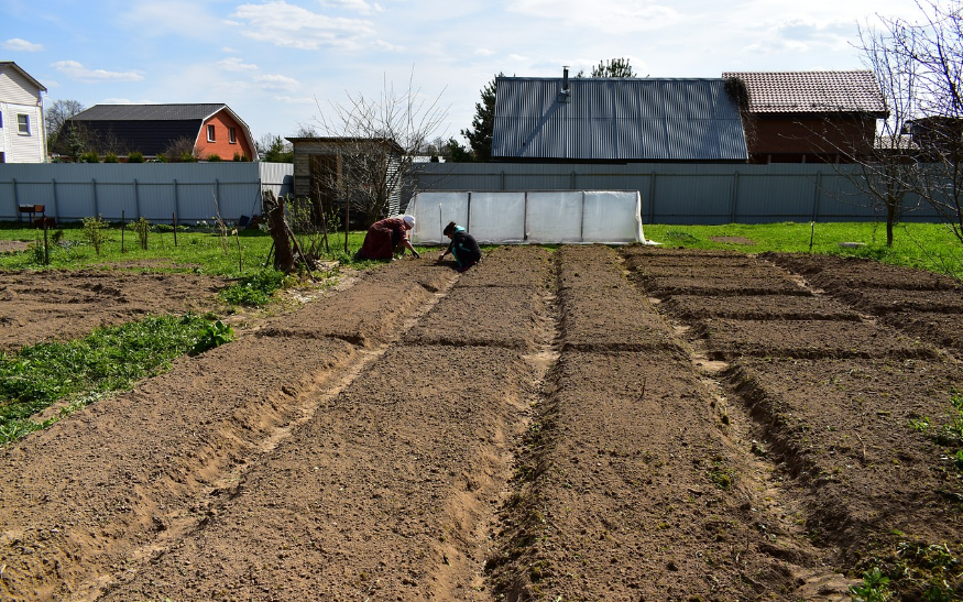Стане кращою за чорнозем! Як зробити землю більш родючою без добрив