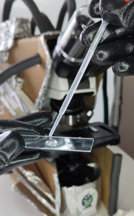 Воду з-під крана показали під мікроскопом, але найбільш "цікавеньке" помітили на аераторі (відео)