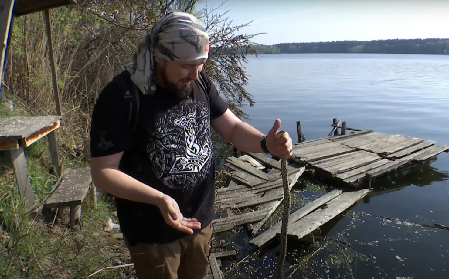 У Києві все частіше помічають змій: чи варто боятися "навали" та як захиститися від укусів