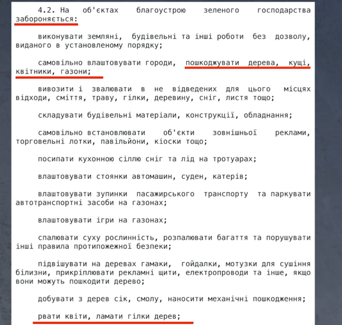 Чи можна ламати бузок: прикмети, несподівана новина від адвоката та думка садівників
