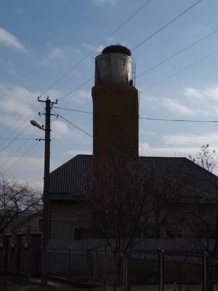 Под Ровно на одной улице родились 7 пар близнецов: известна причина такой рождаемости