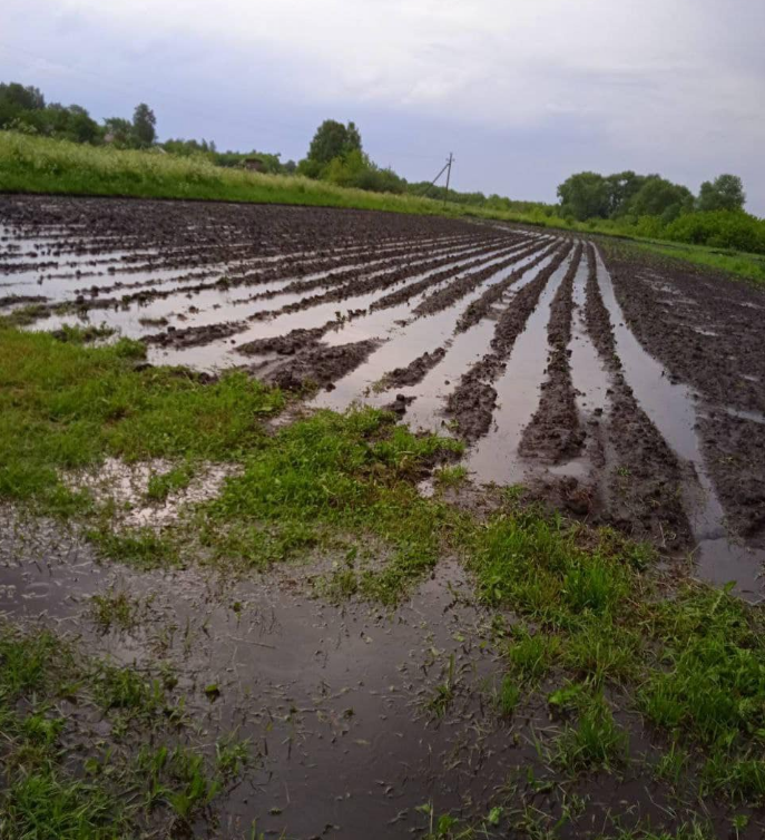 Побив автівки, будинки і врожай: у мережі показали, як град наробив лиха в Україні