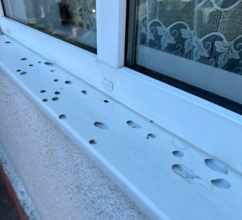 Побив автівки, будинки і врожай: у мережі показали, як град наробив лиха в Україні