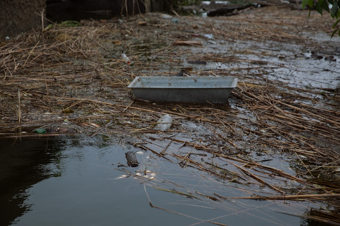 Годовщина подрыва Каховской ГЭС. Как выглядит бывшее водохранилище и "оживут" ли экосистемы