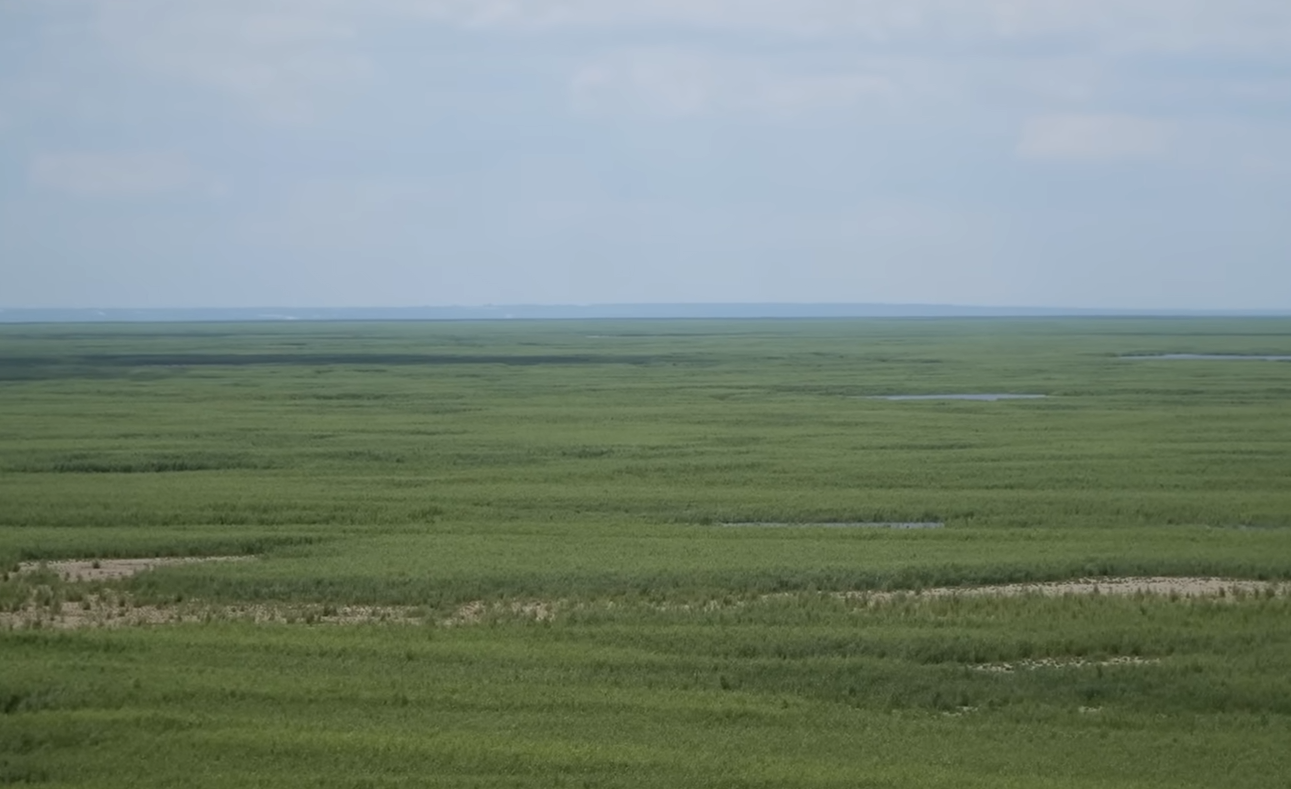 Годовщина подрыва Каховской ГЭС. Как выглядит бывшее водохранилище и "оживут" ли экосистемы