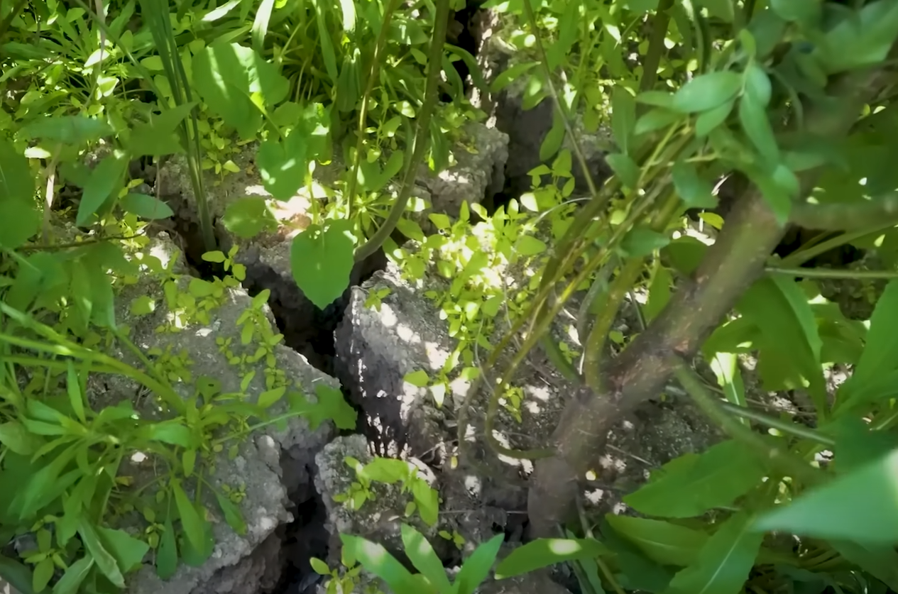 Годовщина подрыва Каховской ГЭС. Как выглядит бывшее водохранилище и "оживут" ли экосистемы