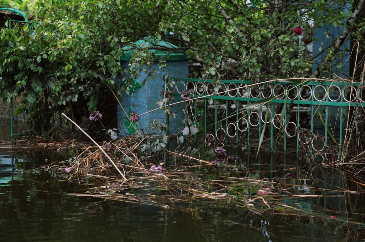 Годовщина подрыва Каховской ГЭС. Как выглядит бывшее водохранилище и "оживут" ли экосистемы
