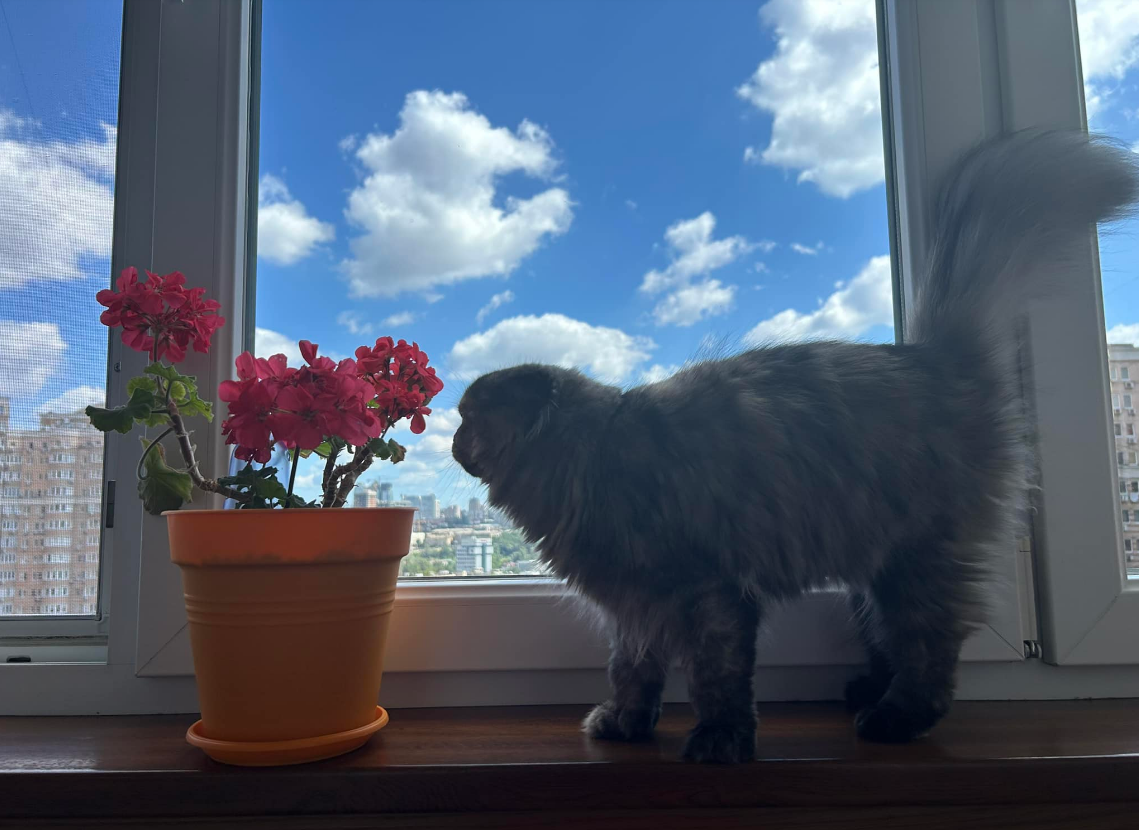 Спека охопила Балкани та Італію. Синоптик пояснила, чи загрожує це українцям найближчим часом