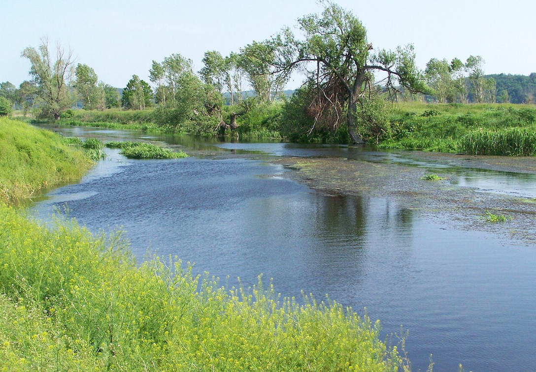 Пляжний сезон 2024. В яких регіонах України та де саме можна відпочити біля водойм