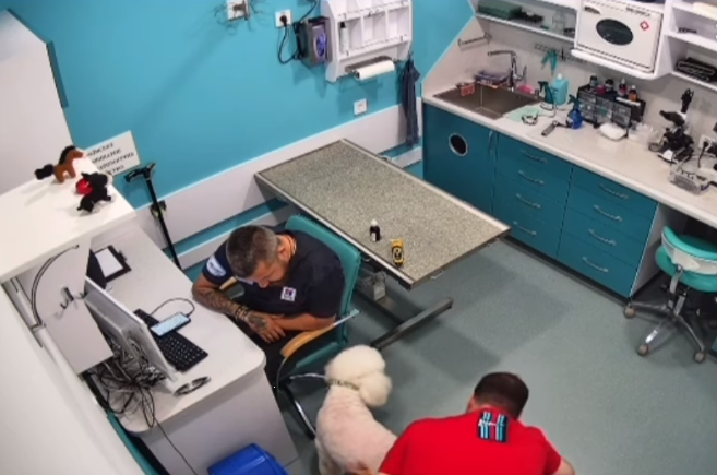 Що загрожує чоловіку, який обматюкав у ветклініці лікаря-ветерана на протезах: всі деталі скандалу