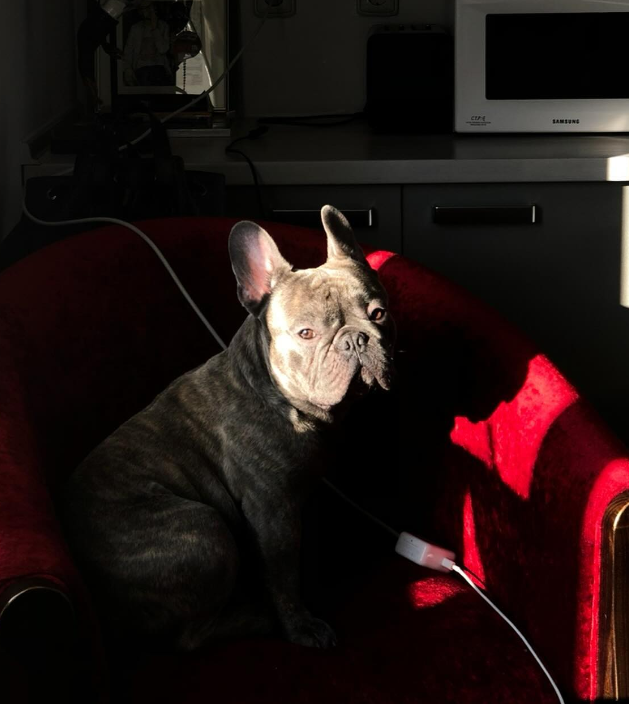 "Кохання з першого погляду": Алан Бадоєв заявив про "поповнення" в сім'ї (фото)