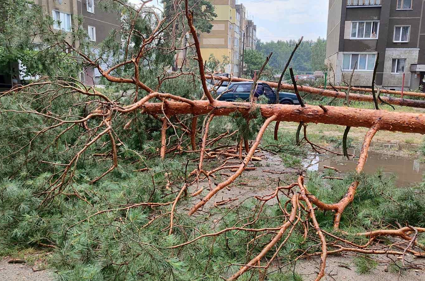 Потужні грози на тлі аномальної спеки: якої біди наробили в Україні дощі та шквали (фото, відео)