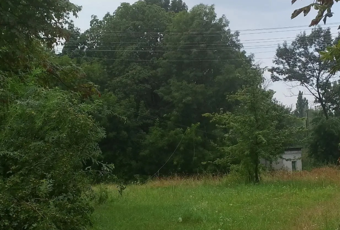 Потужні грози на тлі аномальної спеки: якої біди наробили в Україні дощі та шквали (фото, відео)