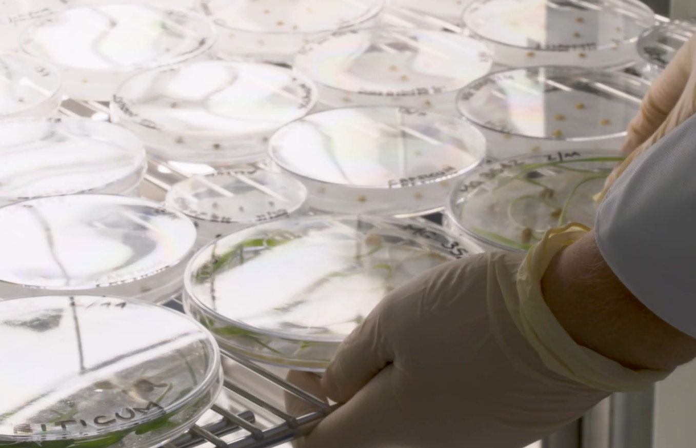 "Сховище Судного дня". Де знаходиться унікальна споруда й чи пускають туди туристів