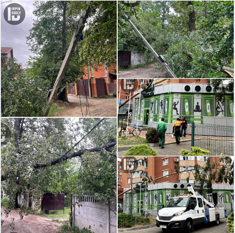 Повалені дерева, побиті будинки й тисячі людей без світла: наслідки негоди в Україні (фото)