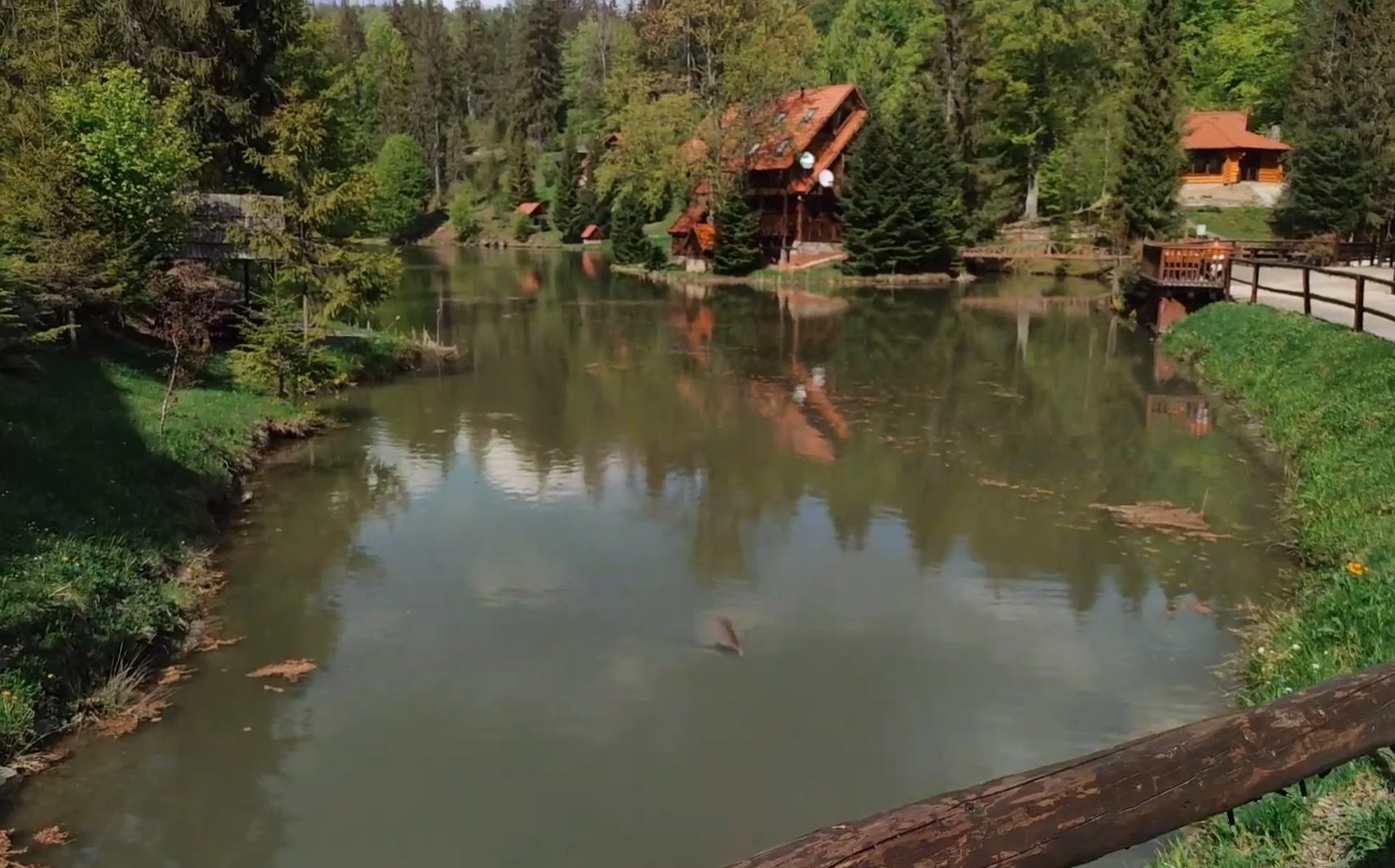 Літні мандри. 5 кращих озер Закарпаття для безпечного відпочинку з дітьми