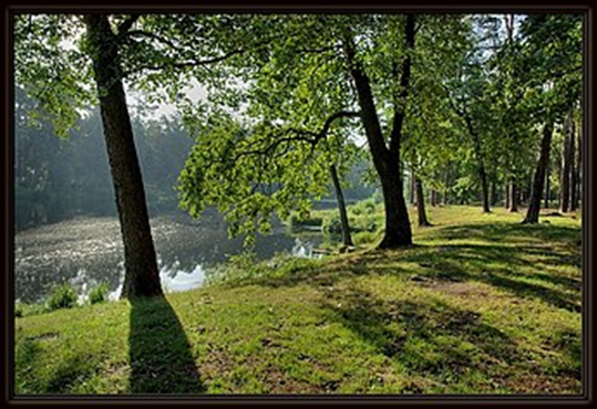 11 крутих місць біля Києва для поїздки на вихідні з сім'єю